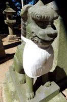 桃沢 匡行