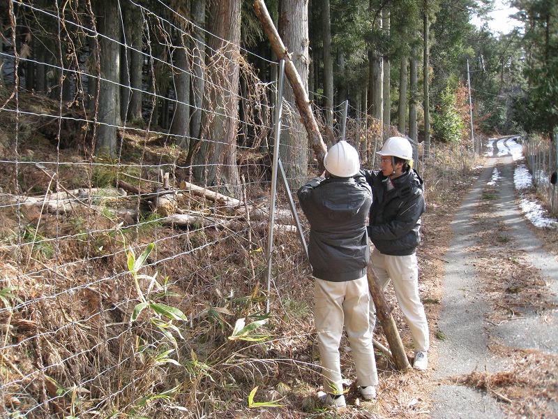 シカの防護柵管理