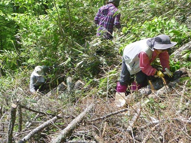 森林の里親促進事業