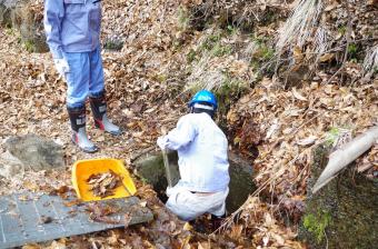 林道の側溝清掃作業